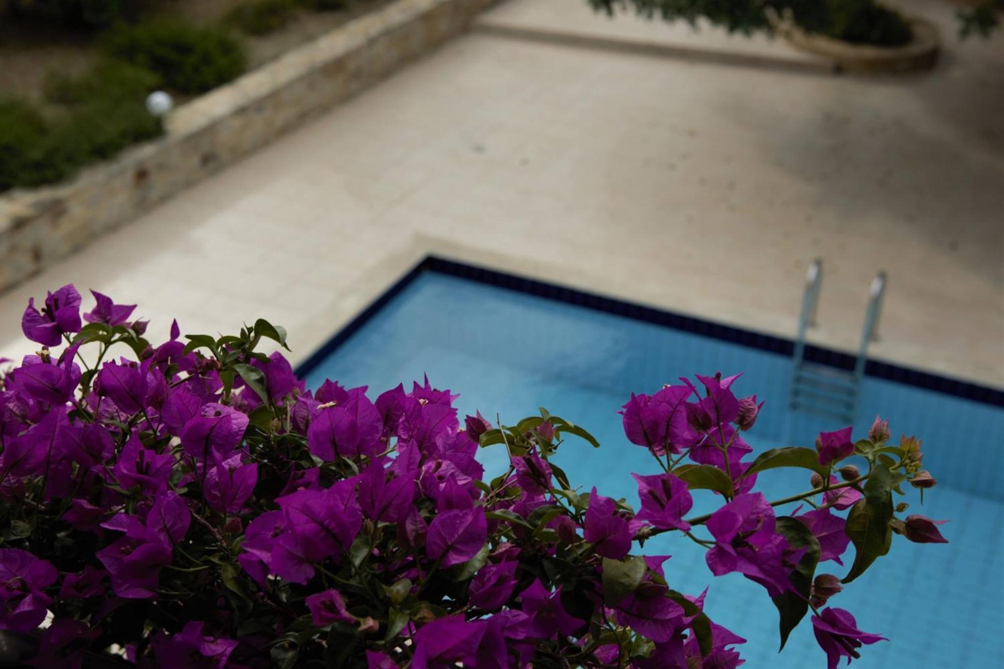 Douliana Villas Dış mekan fotoğraf